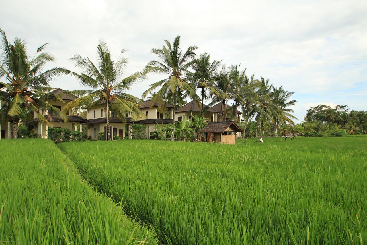 Uma Capung Mas Cottage Ubud  Exterior photo